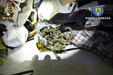 Drogkereskedőt kaptak el