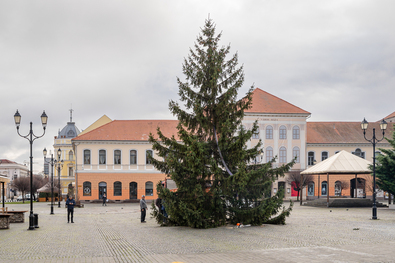 Karácsonyfa és lézershow is lesz a főtéren (Ünnepi  programok  Sepsiszentgyörgyön)