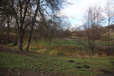 Végleges ítélet négy év után (Kutyatámadás a túraösvényen)