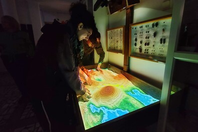 A szerző felvétele