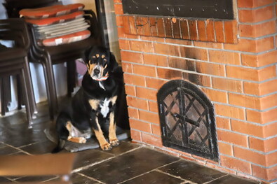 Melegben. Albert Levente felvétele