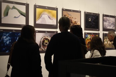 A sepsiszentgyörgyi természetfotó-kiállítás megnyitóján. Fotók: Albert Levente