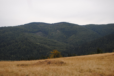 A szerző felvétele