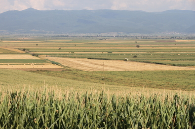 Átalakulóban a megye mezőgazdasága