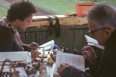 125 éve született László Kálmán (1900–1996)