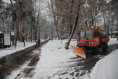 Tél a parkban. Fotó: Albert Levente