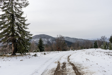 Bartos Lóránt felvétele