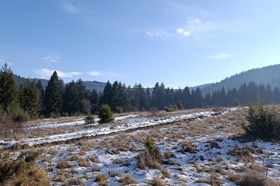 Lejárt határidő miatt szerződést bontottak (Kovászna)