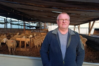 Jövőkép lacaune juhokkal Kommandón