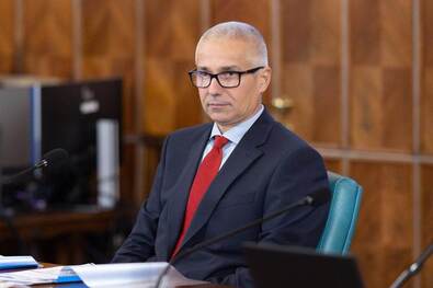 Kapkodás helyett átgondolt jogi keret (Csenei gyermekgyilkosság)