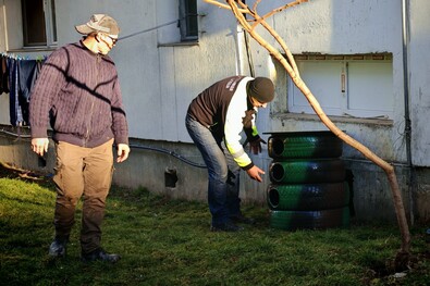 Cicalakként hasznosították újra a lejárt abroncsokat. A szerző felvétele