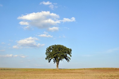 A kép illusztráció. Fotó: Pixabay.com