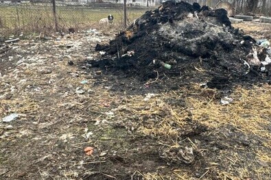 Fotó: Megyei környezetvédelmi őrség