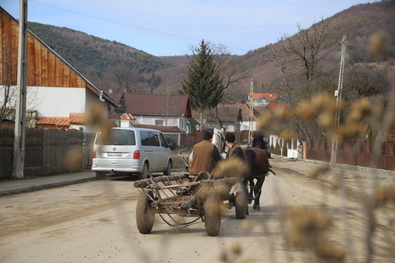 A nap fotója