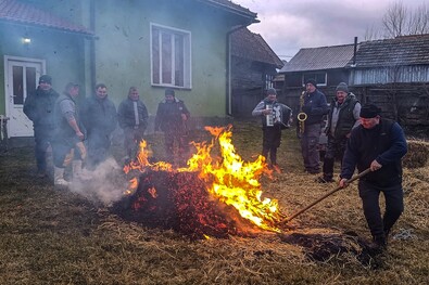 Disznóvágás zenei kísérettel. A szerző felvétele