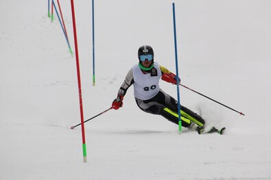 Zöld Róbert