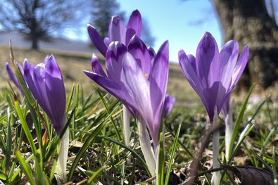 Fotó: Ferencz Csaba