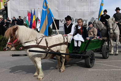 A szerző felvételei