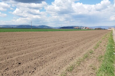A tavaszi munkálatoknál már szükséges a műtrágya. A szerző felvétele