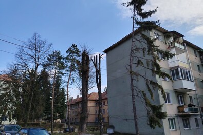 Fotó: Tompa Ernő 