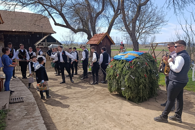 Élő valóság az ősi népszokás (Húsvéti szánhúzás Székelytamásfalván és Szörcsén)