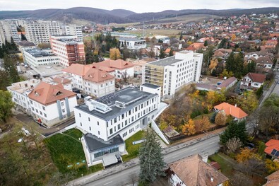 Egy elfelejtett szó az egészség napján: köszönjük
