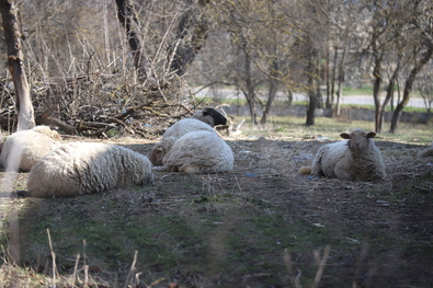 A nap fotója
