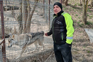 Felelőtlenség, exportbiznisz és a rendszer csődje (Beszélgetés Forró Bélával, a Székely Kutyaklub elnökével és helyi állatvédővel)