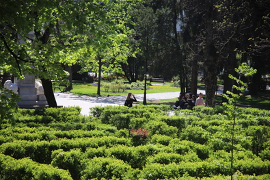 A nap fotója