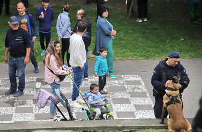 A nap fotója