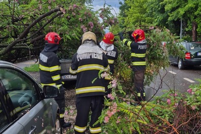 Fotó: Megyei katasztrófavédelmi felügyelőség