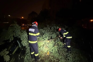 Fotó: Facebook / ISU Bucuresti-Ilfov