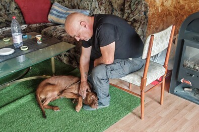 Mézike a menhelyen van, amint esedékes lesz, akár örökbe is lehet fogadni. A szerző felvétele