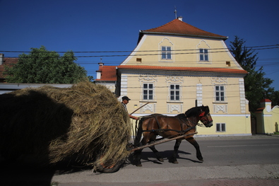 A nap fotója