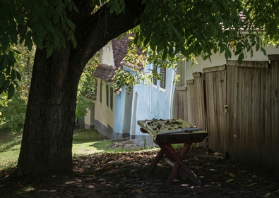 Steigerwald Tibor: Hazafelé