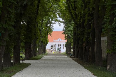 Sepsikőröspataki hírcsokor