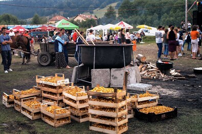 Ládaszámra sorakozott a rókagomba az első falunapi főzéshez. 2002-ben ezer literes üstben főztek rókagombából tokányt. A szerző archív felvétele