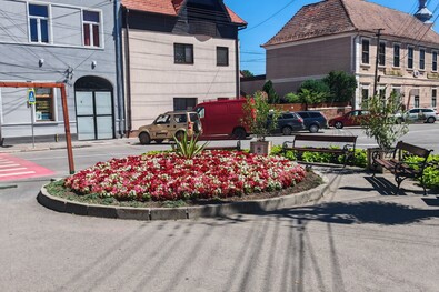 A nap fotója