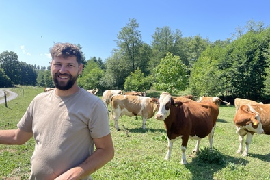 Bodor Jakab: Egészséges tehén egészséges tejet ad. A szerző felvételei