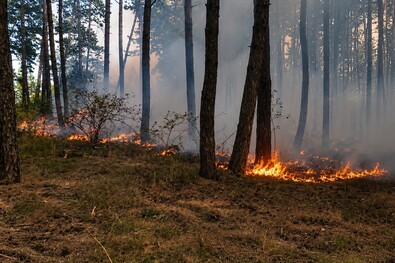 Tűz a Perkőn és Székelyszáldoboson