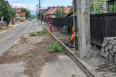 Már a gyom is kinőtt az úttesten! (Szóvá tesszük)