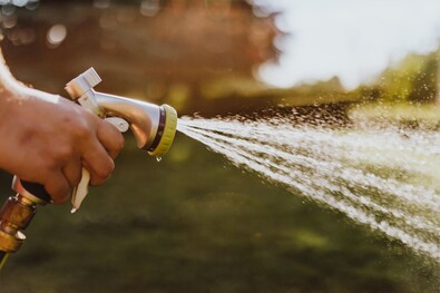 Képünk illusztráció. Fotó: pexels.com