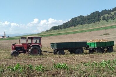 Többe fognak kerülni az őszi munkálatok. A szerző felvétele
