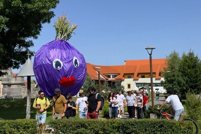 Hagymából nem árt meg a sok!