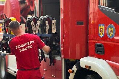Embereken és állatokon segítettek a tűzoltók