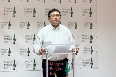 Kulcsár-Terza József parlamenti képviselő. Fotó: Nagy D. István