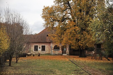 A nap fotója