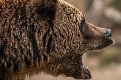 Illusztráció. Fotó: pexels.com