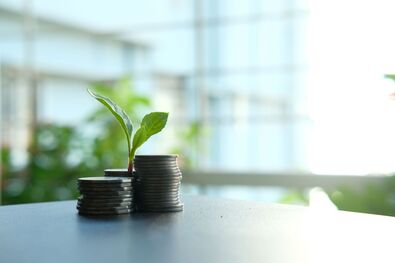 Örülnek a befektetők