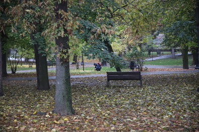 A nap fotója